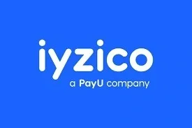 Impact of Financial Technologies on Turkish Economy iyzico Case Analysis