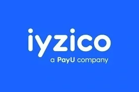 Impact of Financial Technologies on Turkish Economy iyzico Case Analysis