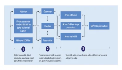 Dijital Finansal Kapsayıcılık